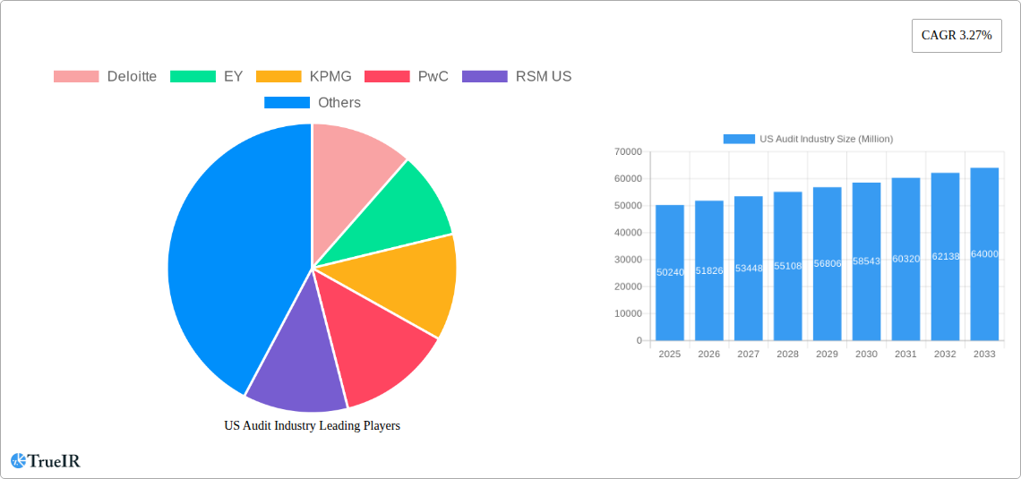 US Audit Industry Research Report - Market Size, Growth & Forecast