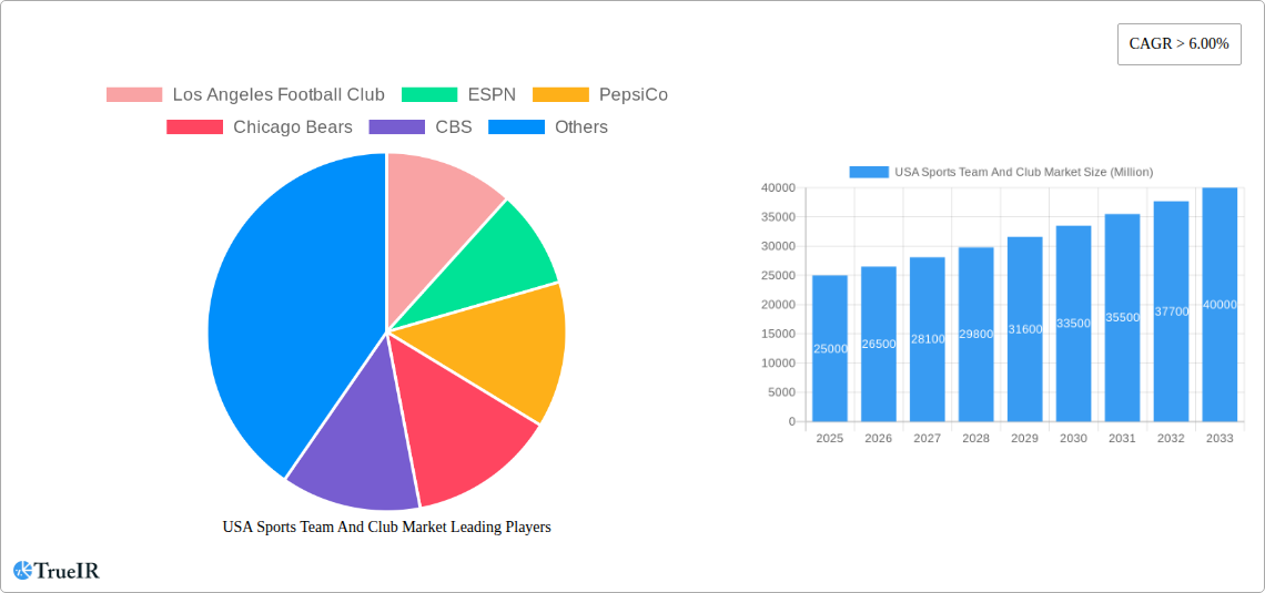 USA Sports Team And Club Market Research Report - Market Size, Growth & Forecast
