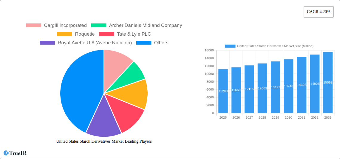 United States Starch Derivatives Market Research Report - Market Size, Growth & Forecast