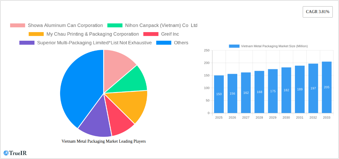Vietnam Metal Packaging Market Research Report - Market Size, Growth & Forecast