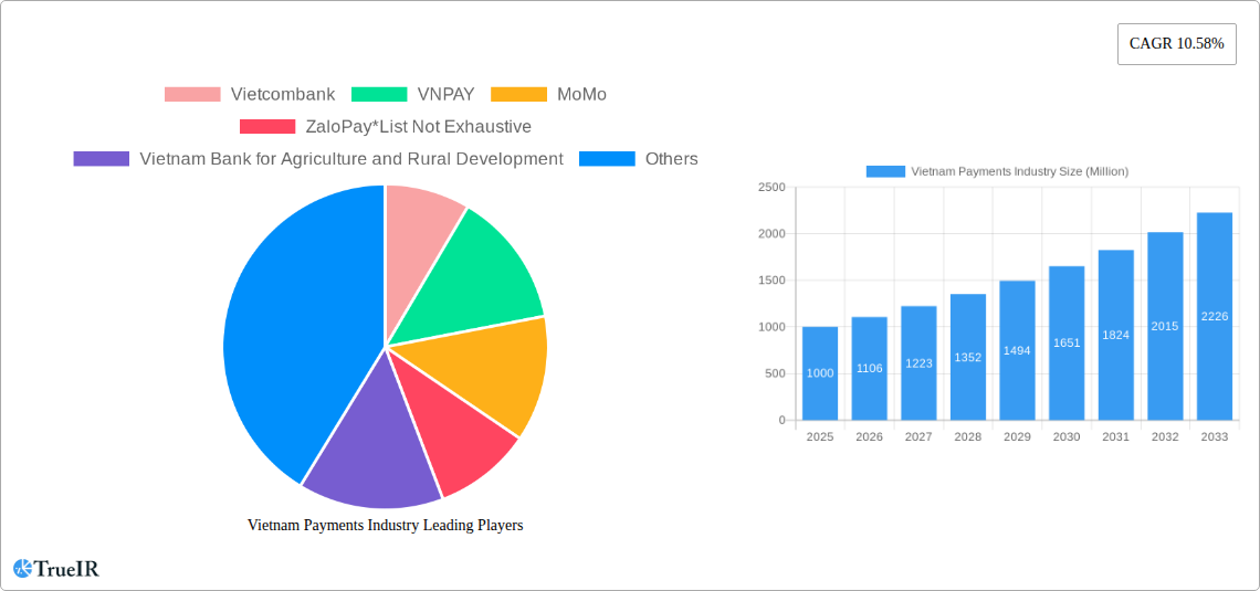 Vietnam Payments Industry Research Report - Market Size, Growth & Forecast
