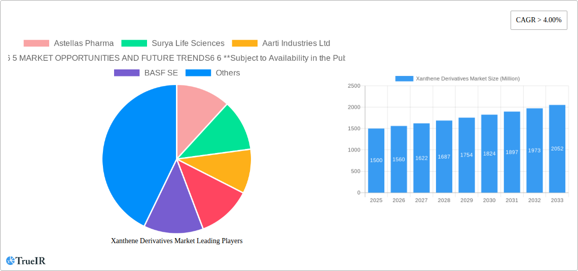 Xanthene Derivatives Market Research Report - Market Size, Growth & Forecast