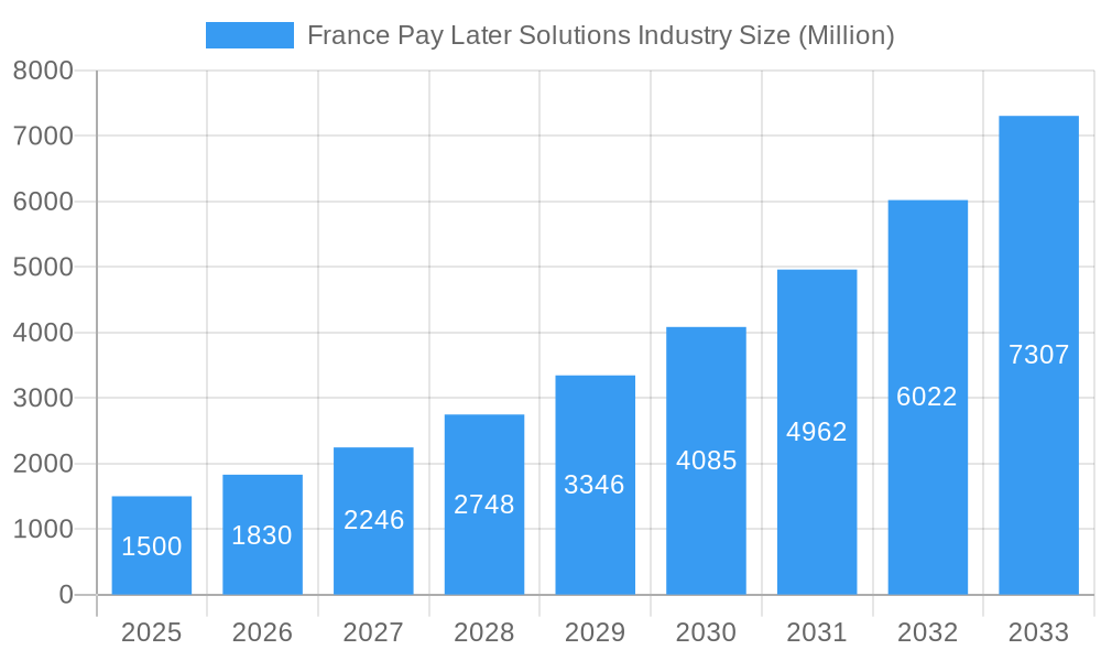 France Pay Later Solutions Industry Market Size and Forecast (2024-2030)