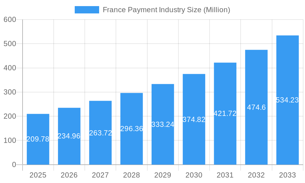 France Payment Industry Market Size and Forecast (2024-2030)