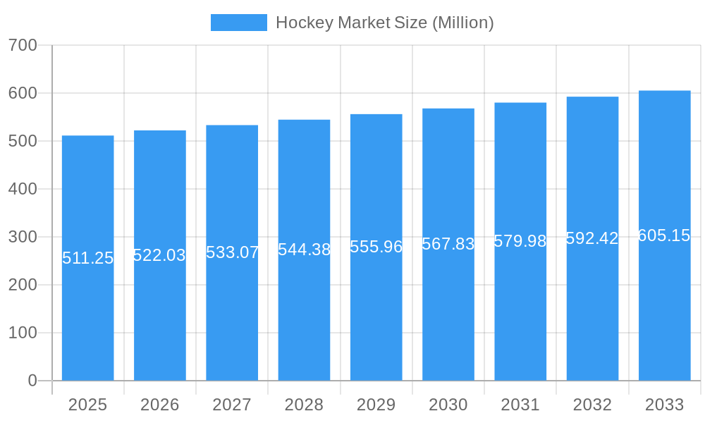 Hockey Market Market Size and Forecast (2024-2030)