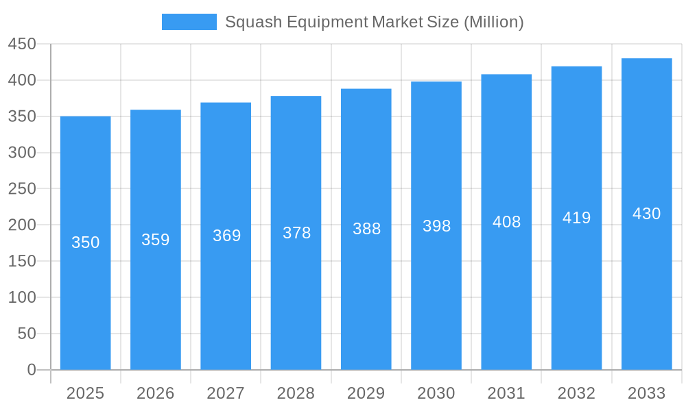 Squash Equipment Market Market Size and Forecast (2024-2030)