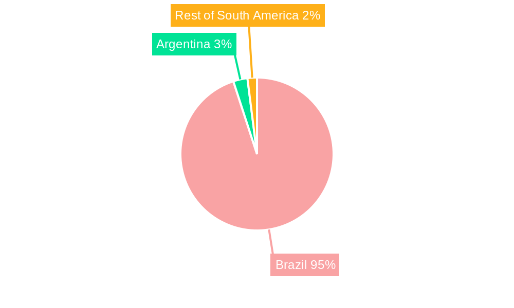 Brazil Oil and Gas Downstream Market Regional Share