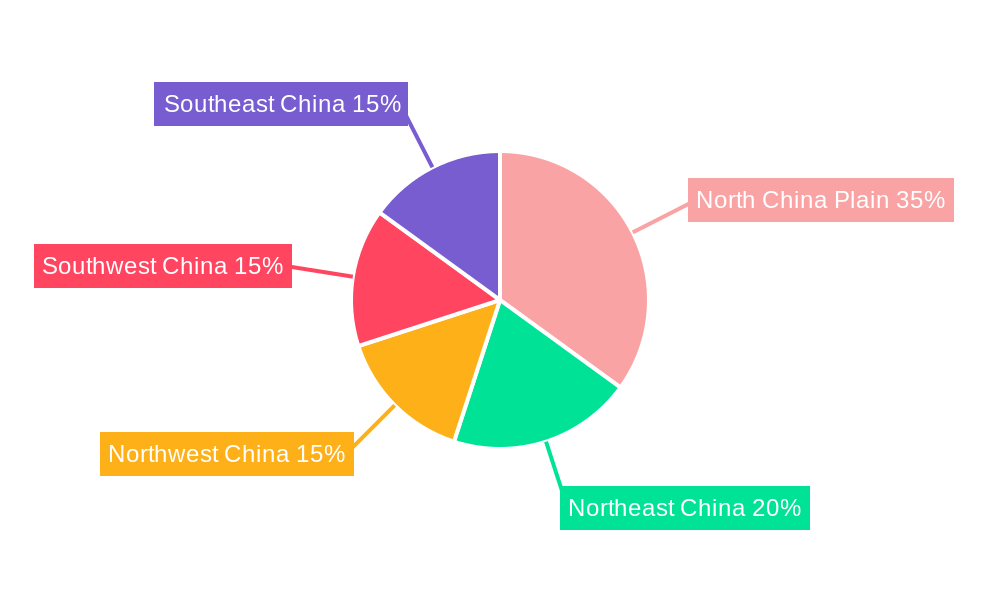 China Oil and Gas Market Regional Share