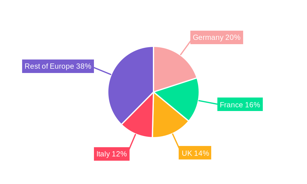 Europe Biguanide Market Regional Share