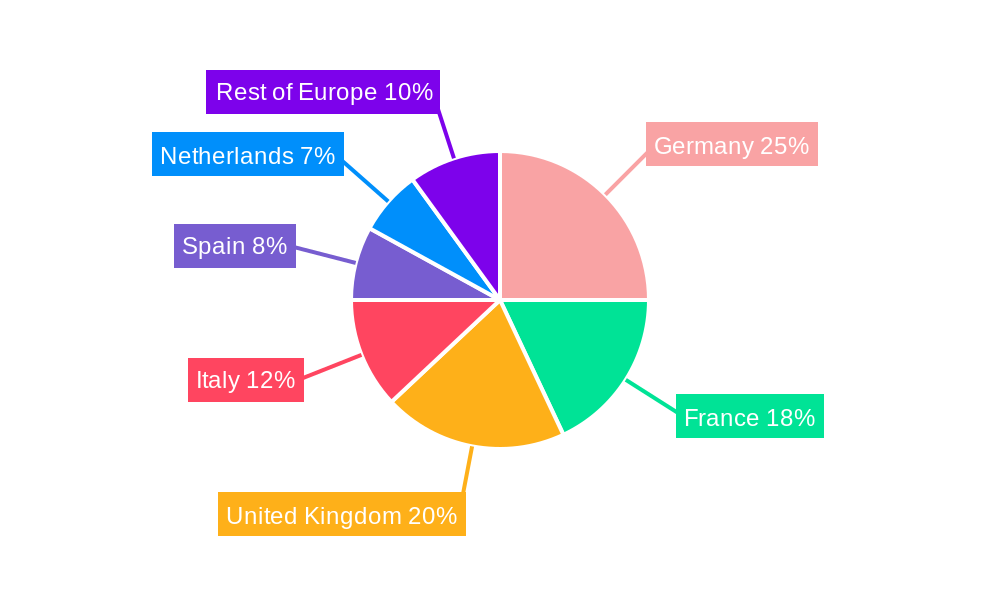 Europe Conveyors Industry Regional Share