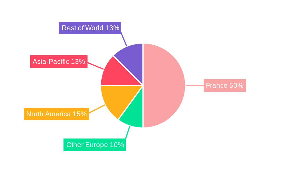 France Active Pharmaceutical Ingredients (API) Market Regional Share