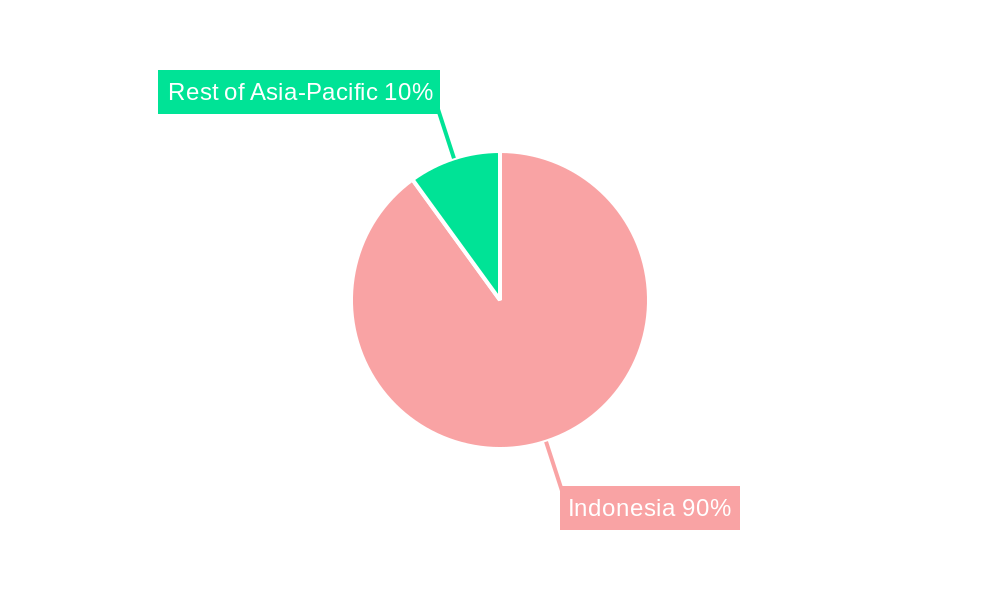 Indonesia Power Generation EPC Market Regional Share