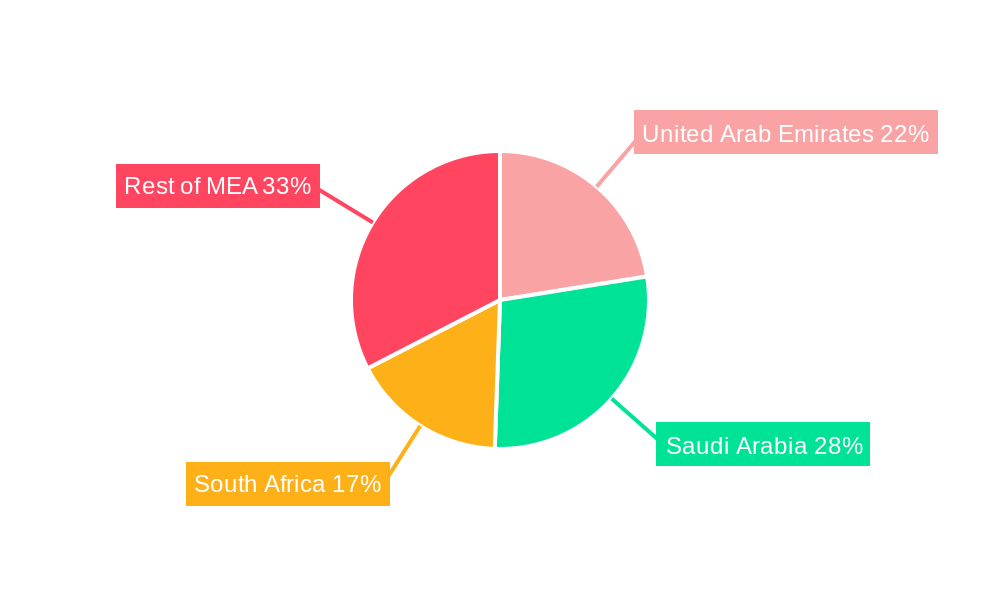 Insulin Syringe Market in MEA Regional Share
