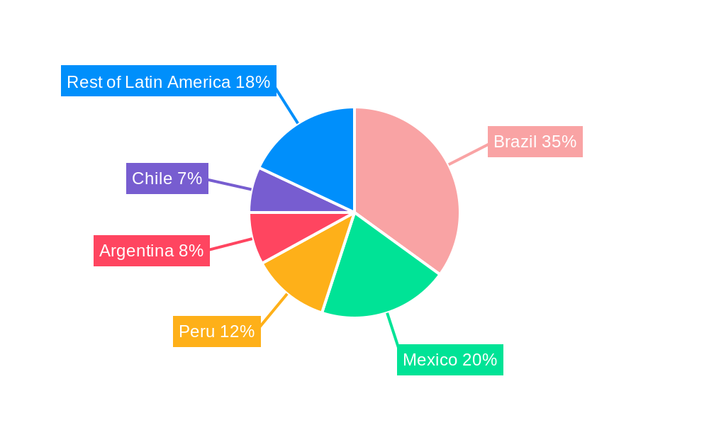 Latin America Container Terminal Operations Market Regional Share