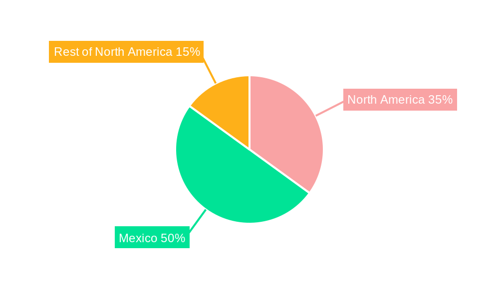 Mexico Flat Glass Market Regional Share