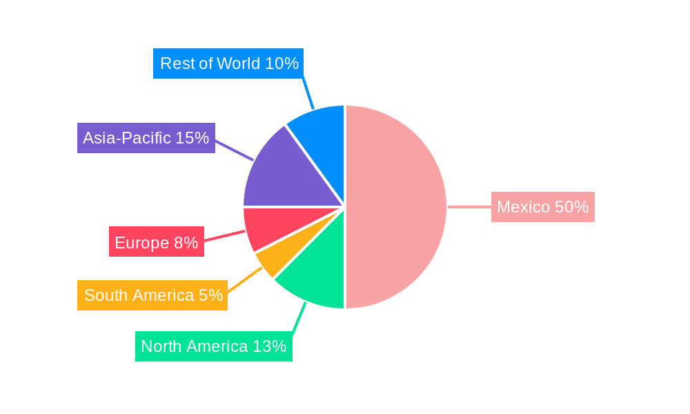 Mexico Patient Monitoring Market Regional Share