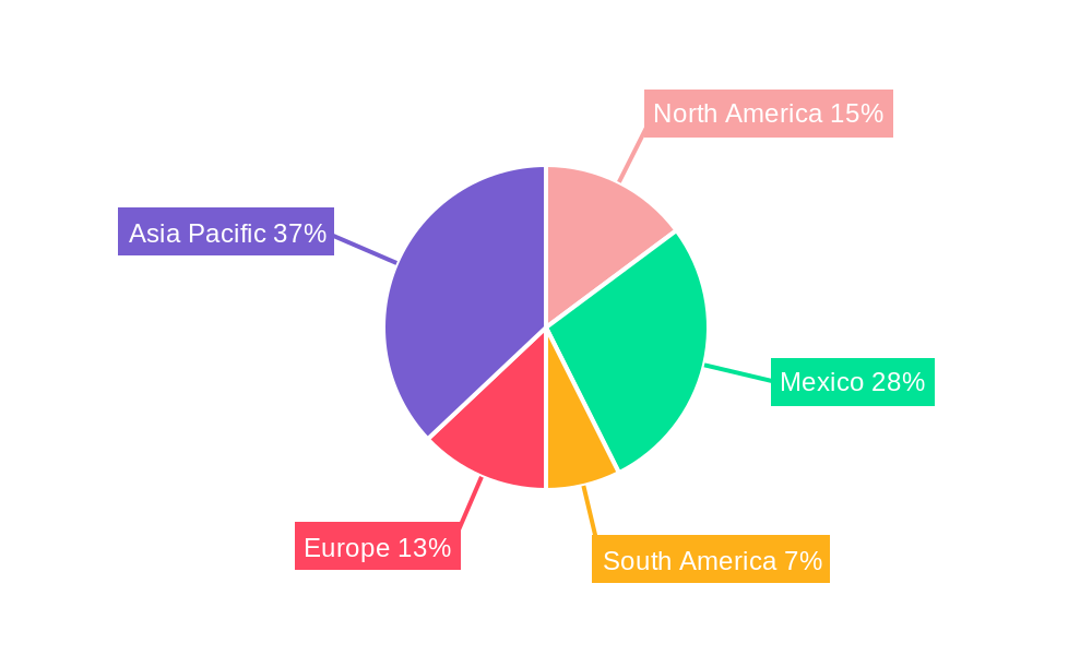 Mexico Surveillance Camera Market Regional Share