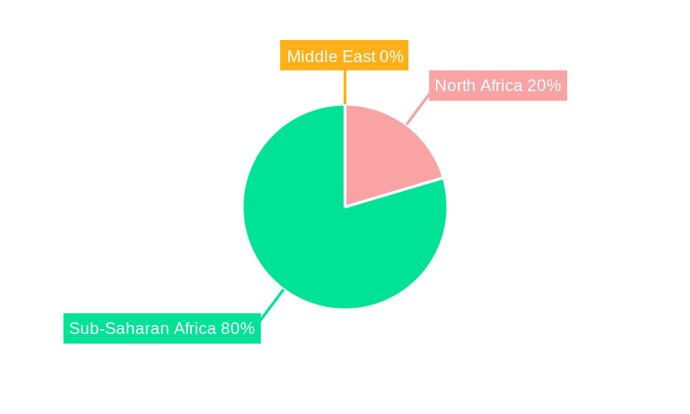Middle East And Africa Insulin Delivery Devices Market Regional Share