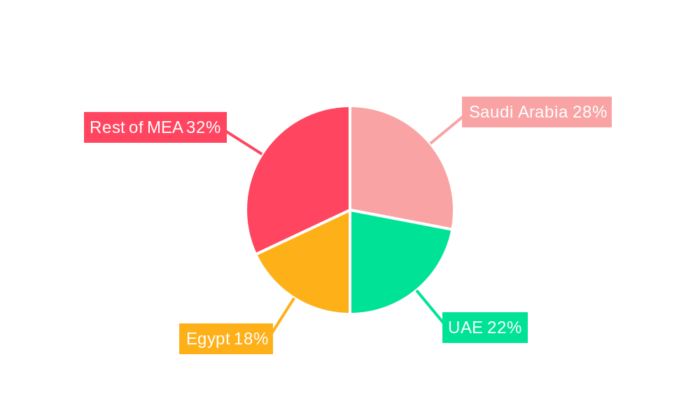 Middle East and Africa Active and Intelligent Packaging Market Regional Share