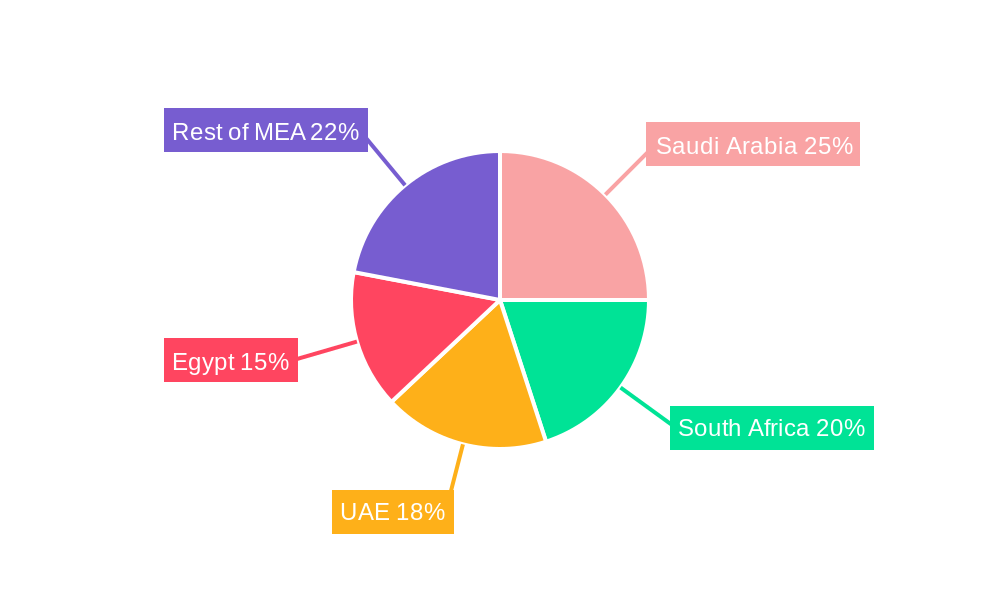 Middle East and Africa Electroplating Market Regional Share