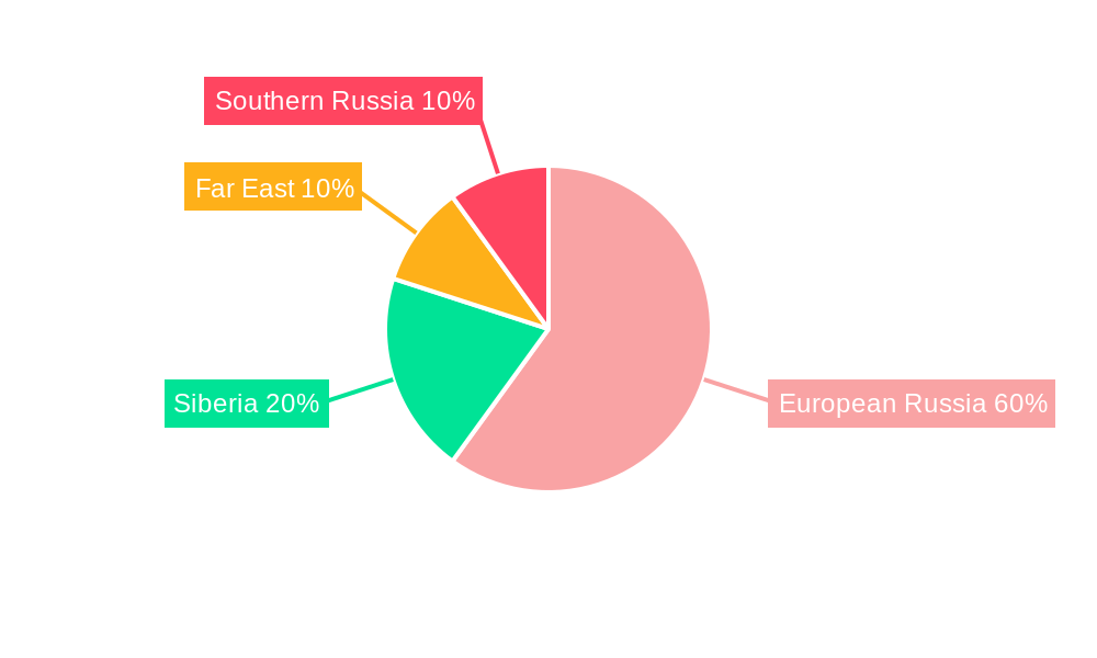 Russia Automotive Lubricants Market Regional Share