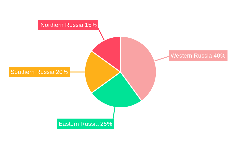 Russia Data Center Rack Market Regional Share