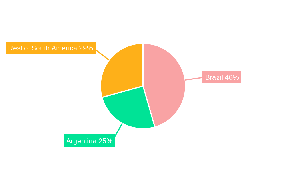 South America MRI Market Regional Share
