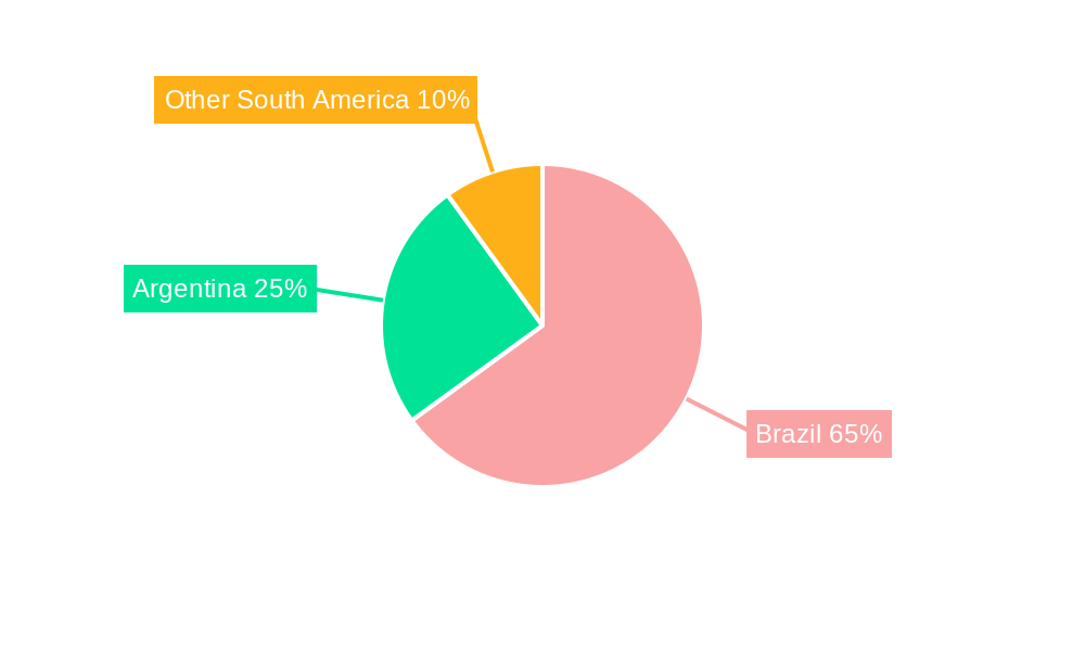South America Outdoor LED Lighting Market Regional Share