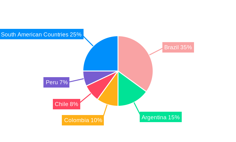 South American Waste Management Market Regional Share