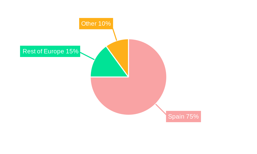 Spanish Ceramic Tiles Industry Regional Share