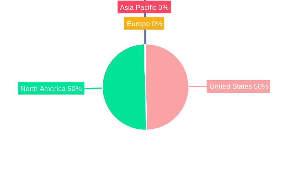 United States White Cement Market Regional Share