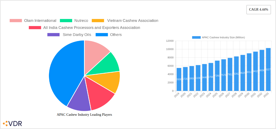 APAC Cashew Industry Research Report - Market Size, Growth & Forecast