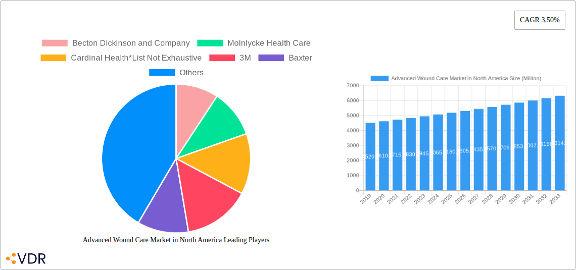 Advanced Wound Care Market in North America Research Report - Market Size, Growth & Forecast