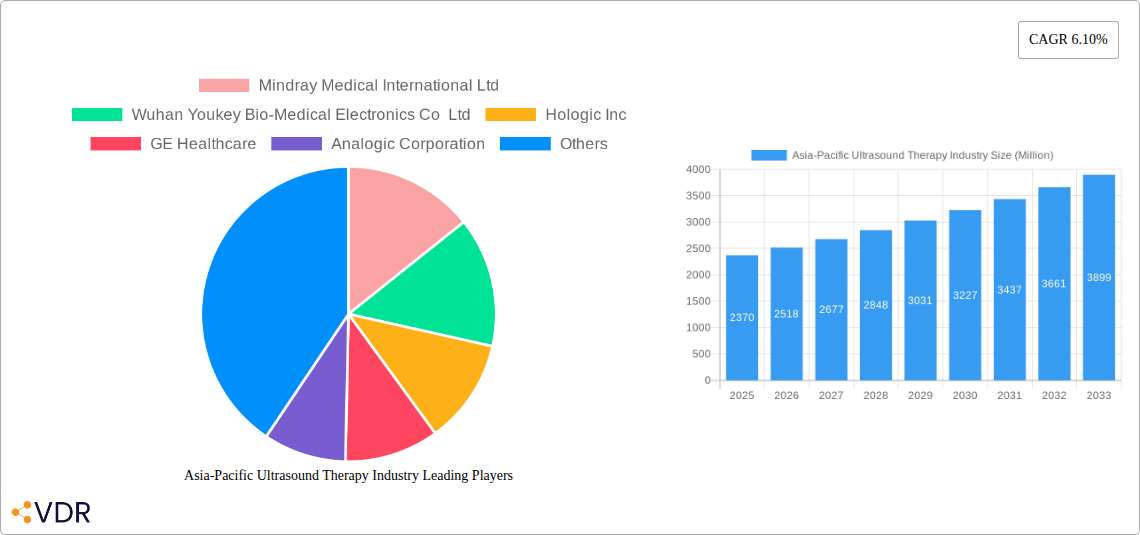Asia-Pacific Ultrasound Therapy Industry Research Report - Market Size, Growth & Forecast