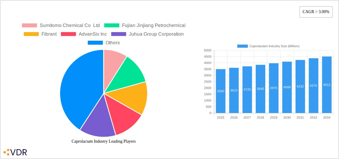 Caprolactam Industry Research Report - Market Size, Growth & Forecast