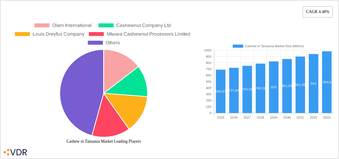 Cashew in Tanzania Market Research Report - Market Size, Growth & Forecast
