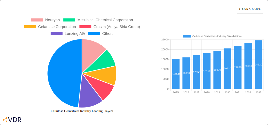 Cellulose Derivatives Industry Research Report - Market Size, Growth & Forecast