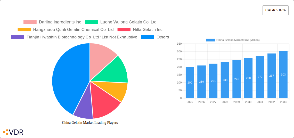 China Gelatin Market Research Report - Market Size, Growth & Forecast