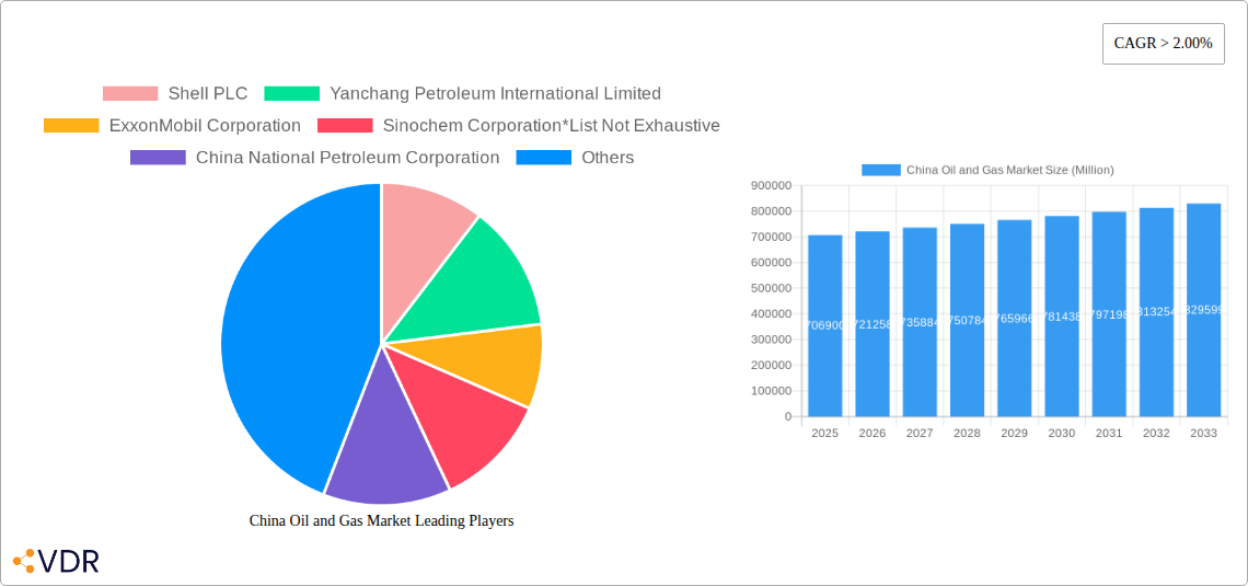China Oil and Gas Market Research Report - Market Size, Growth & Forecast
