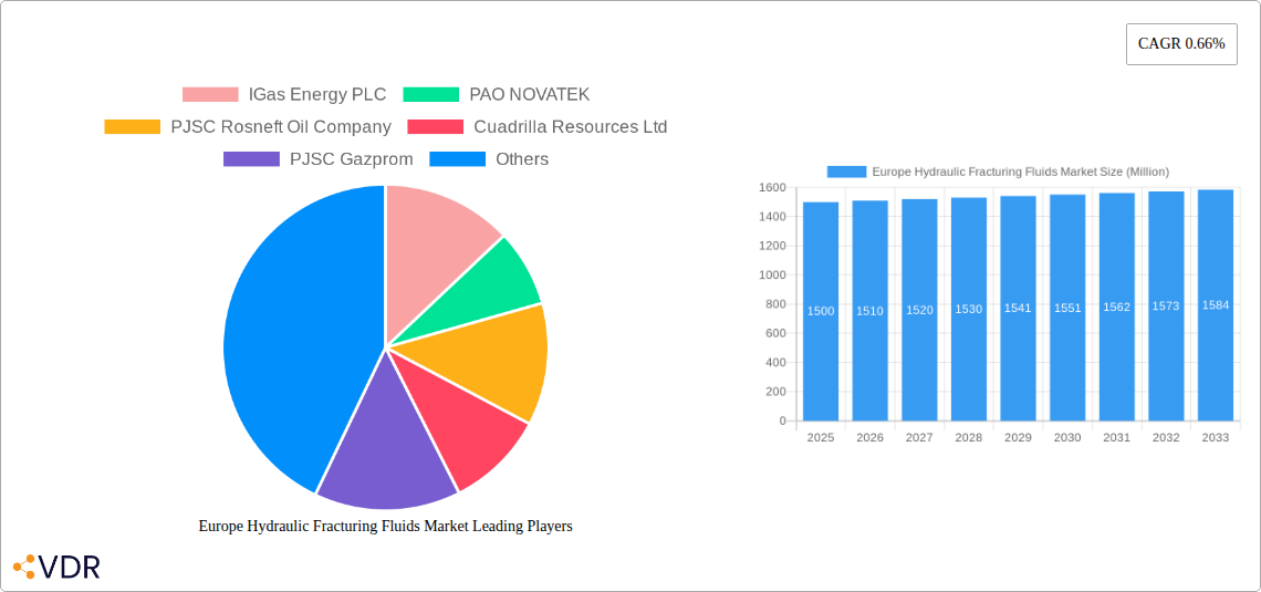 Europe Hydraulic Fracturing Fluids Market Research Report - Market Size, Growth & Forecast
