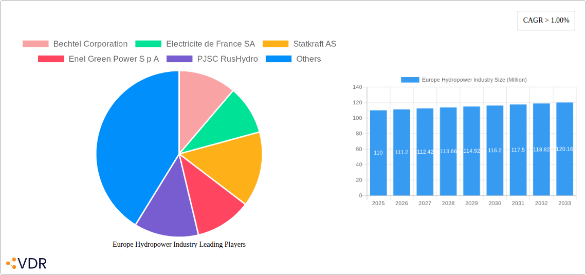 Europe Hydropower Industry Research Report - Market Size, Growth & Forecast