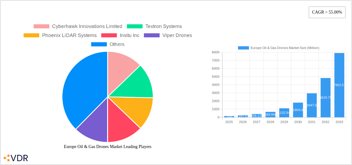 Europe Oil & Gas Drones Market Research Report - Market Size, Growth & Forecast
