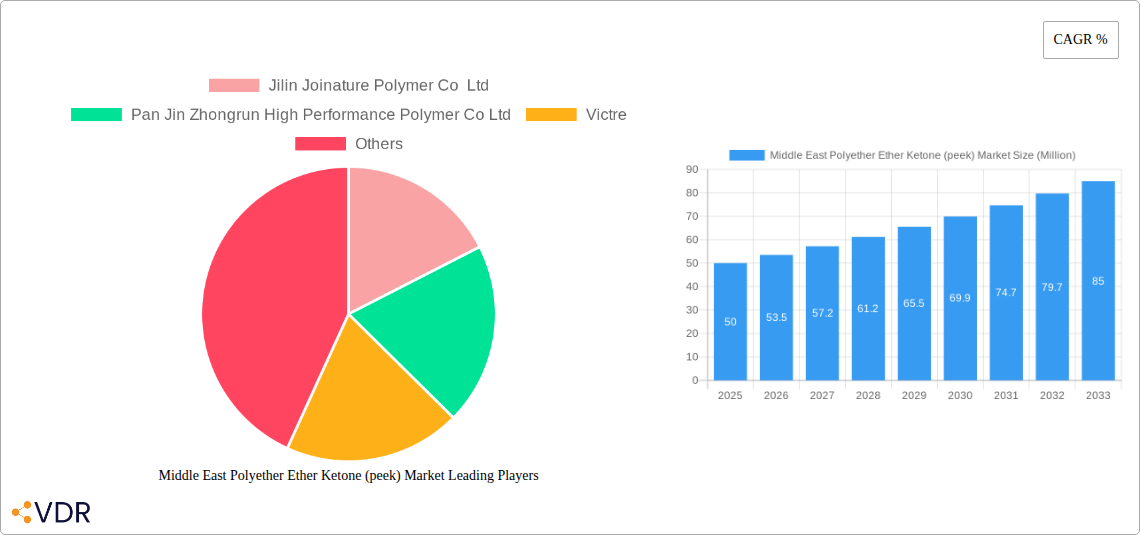 Middle East Polyether Ether Ketone (peek) Market Research Report - Market Size, Growth & Forecast