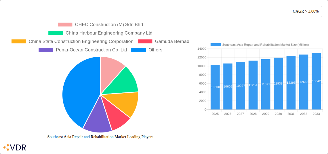 Southeast Asia Repair and Rehabilitation Market Research Report - Market Size, Growth & Forecast