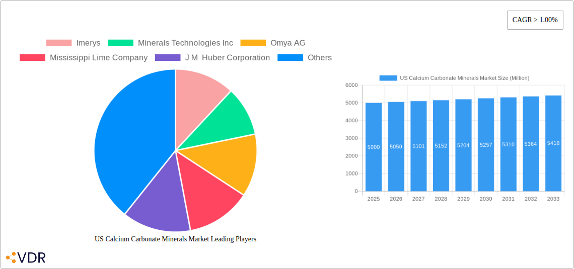 US Calcium Carbonate Minerals Market Research Report - Market Size, Growth & Forecast
