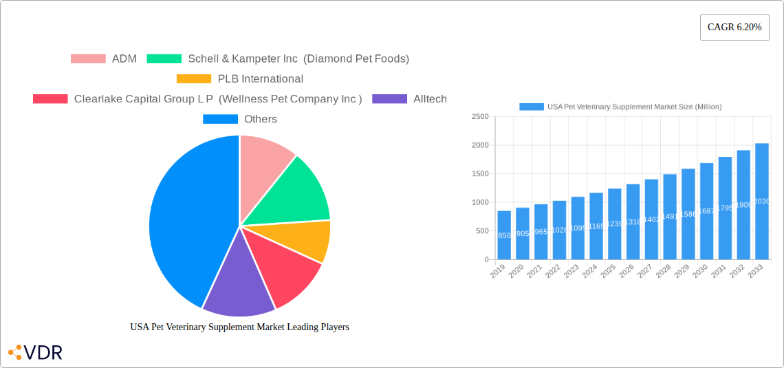 USA Pet Veterinary Supplement Market Research Report - Market Size, Growth & Forecast