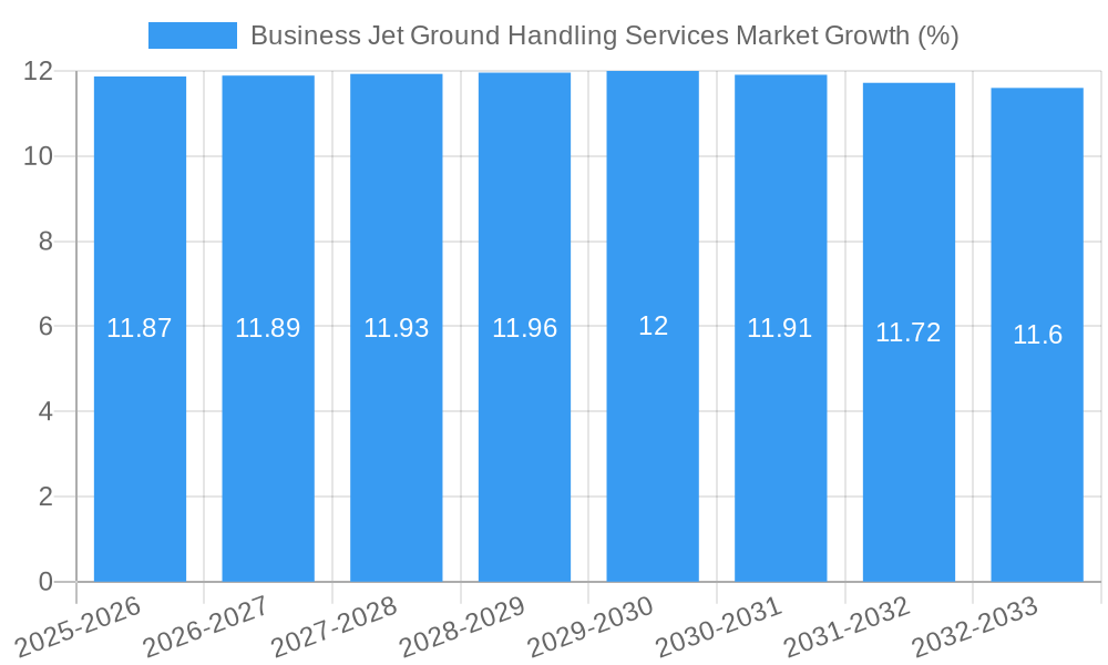 Business Jet Ground Handling Services Market Growth