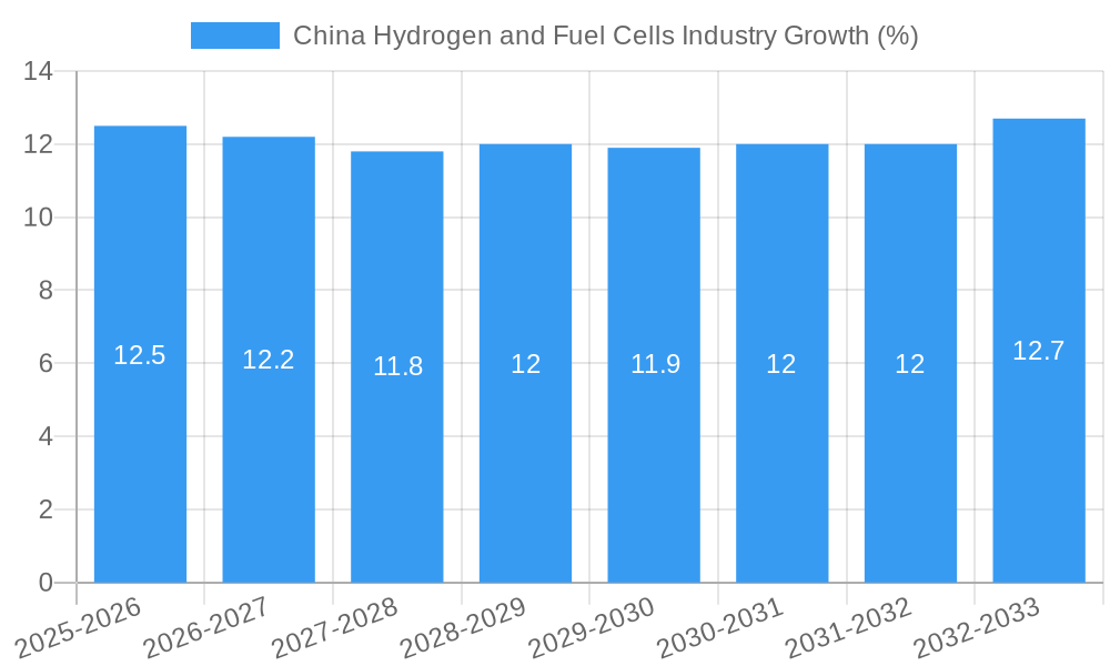 China Hydrogen and Fuel Cells Industry Growth