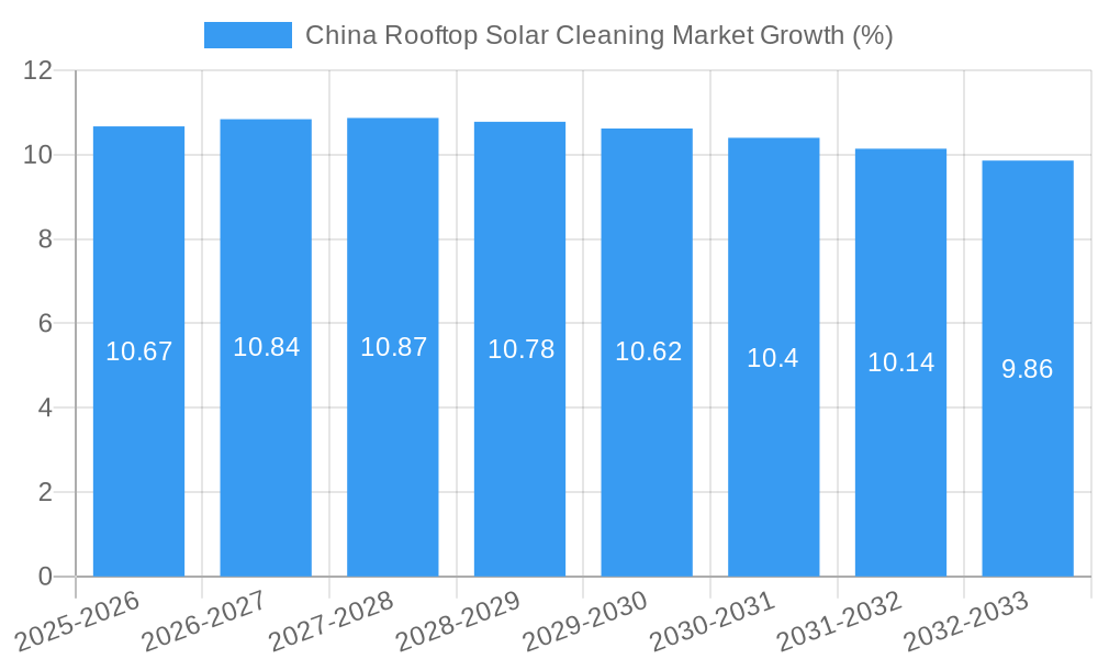 China Rooftop Solar Cleaning Market Growth