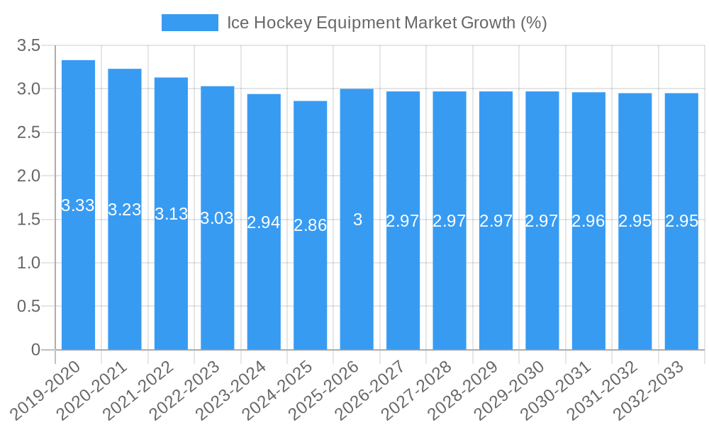 Ice Hockey Equipment Market Growth